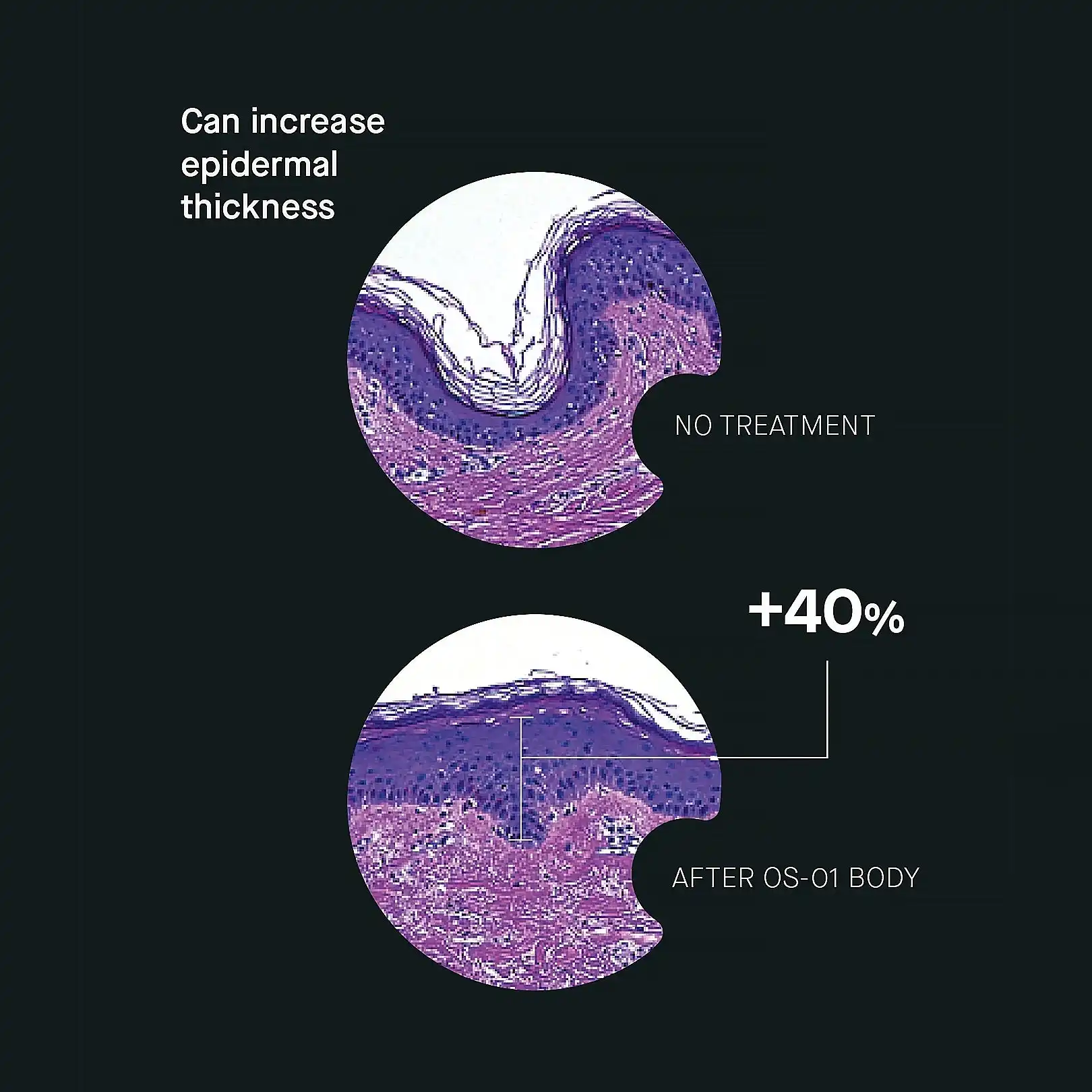 OS-01 BODY MOISTURIZER - Image 3